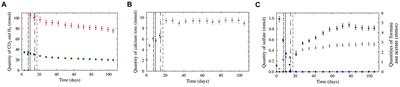Experimental simulation of H2 coinjection via a high-pressure reactor with natural gas in a low-salinity deep aquifer used for current underground gas storage